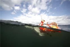 Secumar Rettungsweste Scout 275N 3D -Railblaza Verkäufe PIC882735cb416616