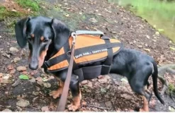 Lindemann Hundeschwimmhilfe 15-40 Kg